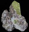 Apatite Crystals with Magnetite & Quartz - Durango, Mexico #64025-1